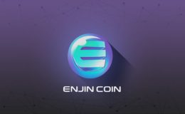enjin coin